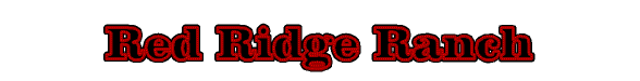 title.gif (4906 bytes)