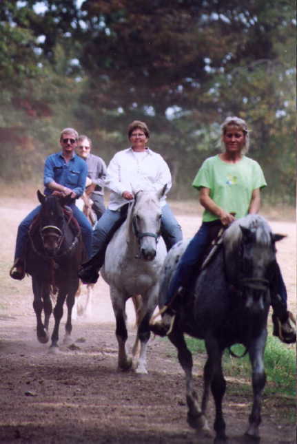 theride3.jpg (31384 bytes)